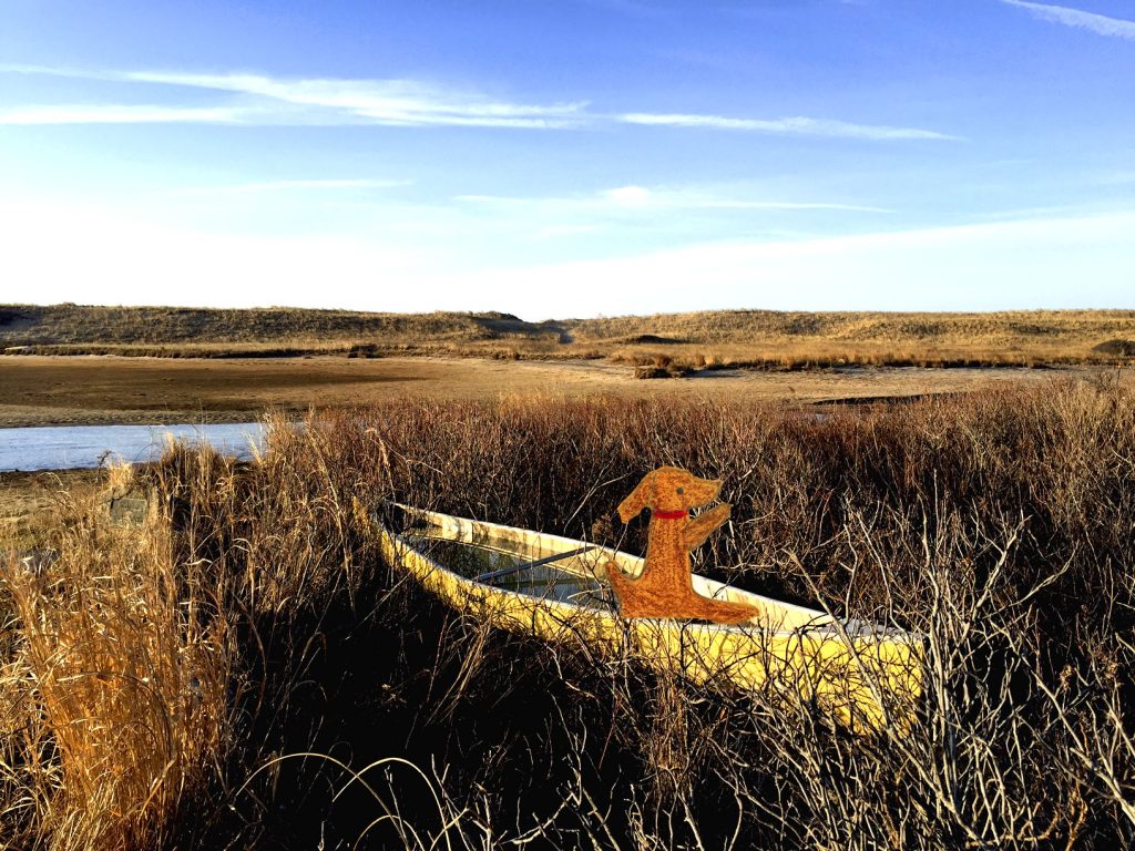 Dog in Yellow Canoe